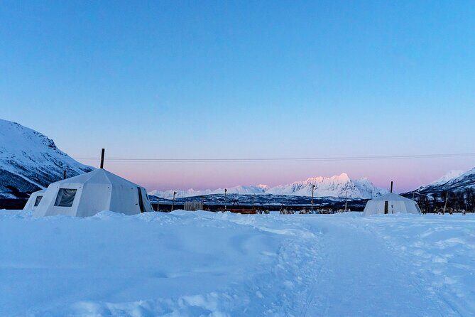 Overnight Stay with Reindeer Sledding & Feeding - What to Expect from This Arctic Experience