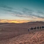 Overnight Tour From Fes to Sahara Desert - Who Is This Tour Best For?