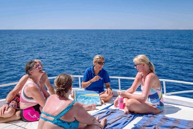Overnight Trip To El Ain Sokhna Red Sea From Cairo - What to Expect at Dolphin Beach in Ain Sokhna