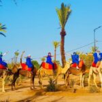 Pack Camel ride 1 Hour and Quad biking 2 Hours in Marrakech - An Overview of the Marrakech Adventure Experience