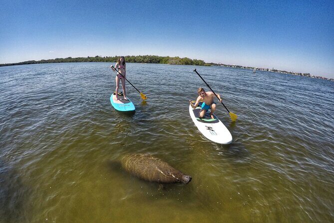 Paddle Boarding Eco Adventure Tour Jupiter Florida - Singer Island - What to expect on the water