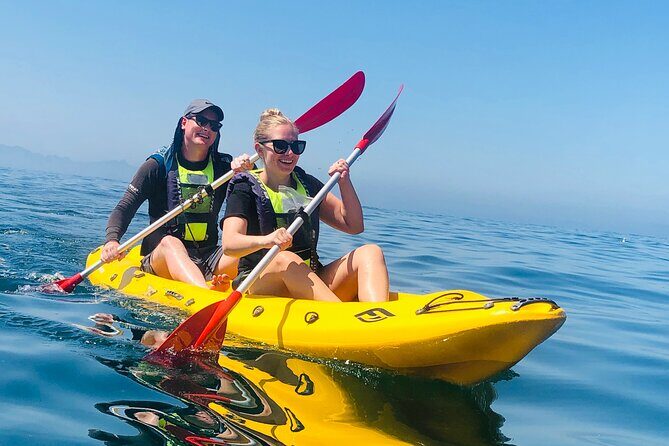 Paddle with the Penguins - The Journey into the Ocean