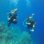 PADI 3 Days Open Water Course - What to Expect on Your 3-Day Diving Adventure