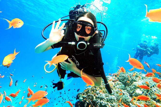 PADI Open Water Diver Course - What Real Travelers Say