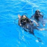PADI Scuba Diver (PSD) - The Sum Up