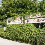 Palma: Caves of Genova Ticket & Digital Audio Guide - Practical Details and Access