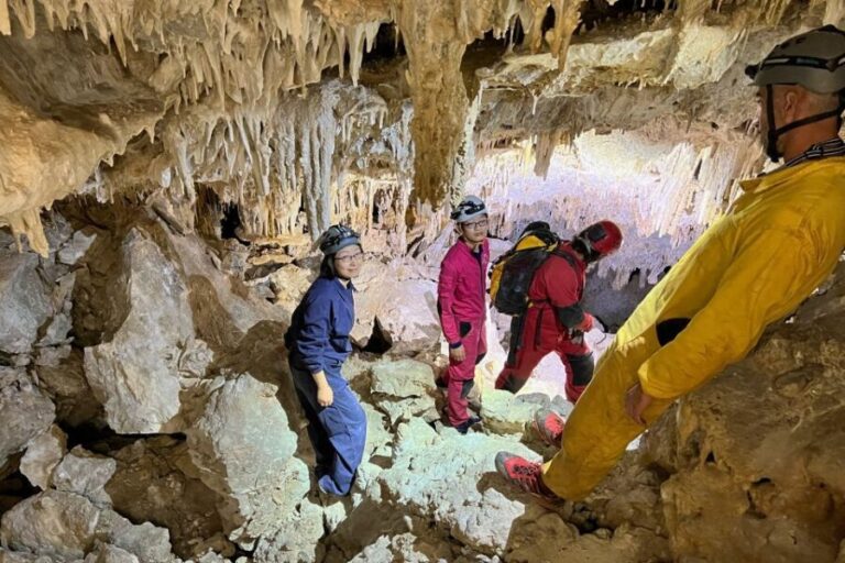 Palma de Mallorca: Es Marmols Cave Tour - The Experience’s Highlights