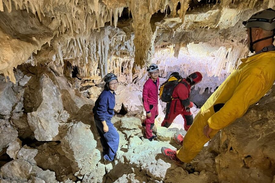 Palma de Mallorca: Es Marmols Cave Tour - The Experience’s Highlights
