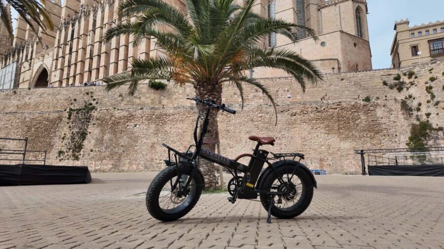 Palma: Exclusive City Highlights E-Bike Tour - Why Choose the Palma E-Bike Tour?