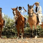 Palmeraie Grove Horse Ride 2 Hour Trip with Transfer - Marrakesh - The Sum Up