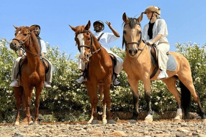 Palmeraie Grove Horse Ride 2 Hour Trip with Transfer - Marrakesh - The Sum Up