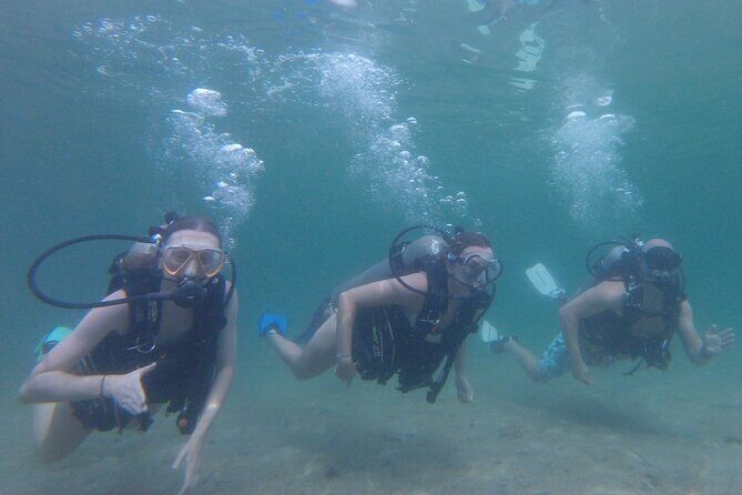 Panama City Scuba Diving Activity for Beginners - The Itinerary Breakdown
