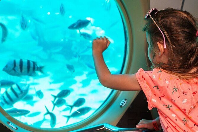 Panorama Semi Submarine Snorkelling Cruise in Makadi Bay - Reviews and Authentic Feedback
