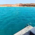 Papagayo Gourmet Experience - Who Is This Experience Best For?
