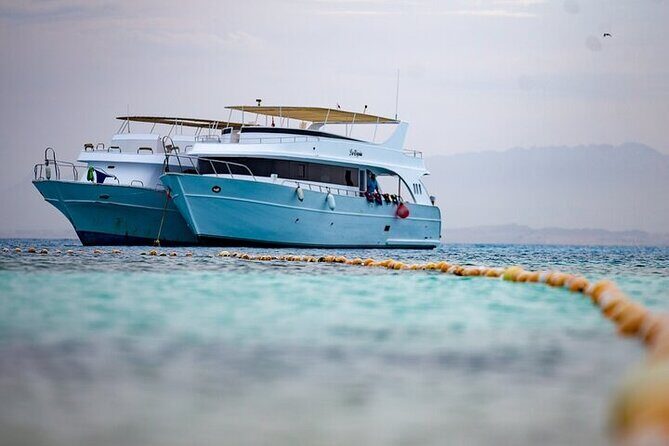 Paradise Island & snorkeling & Water Sports in Hurghada - Authentic Insights from Other Travelers