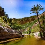 Paradise Valley Half day Experience - Value & Cost Analysis
