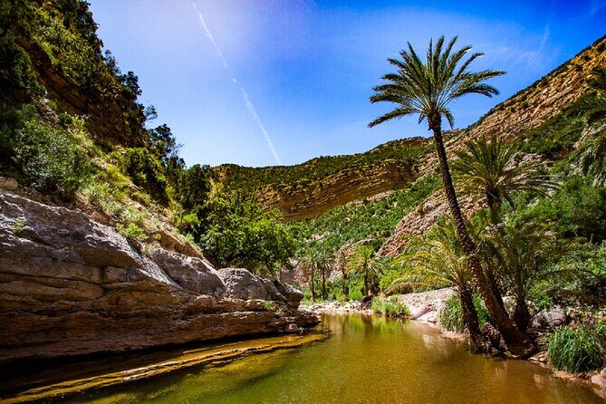 Paradise Valley Half day Experience - Value & Cost Analysis