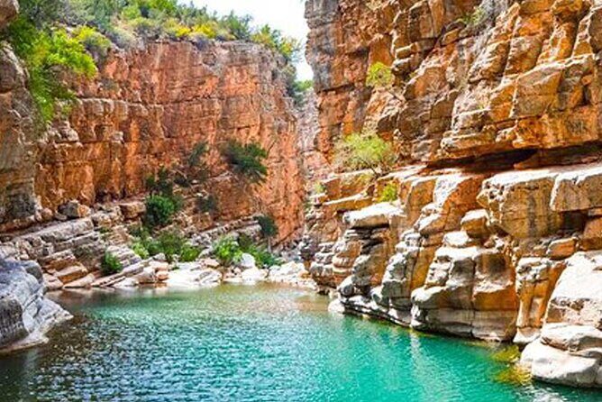 Paradise Valley Half Day Tour - The Charm of Imouzzer