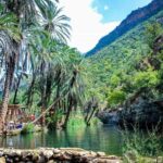 Paradise Valley & The Old Taghazout village Private Tour - The Plus Points