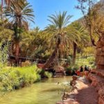 Paradise Valley tour from Agadir - Key Points