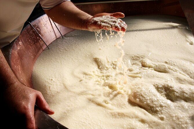 Parmigiano Reggiano & Balsamic Vinegar Private Tour and Tasting - A Close Look at Each Part of the Tour