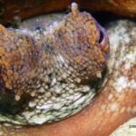 Paros: Scuba Diving Experience - The Itinerary Breakdown