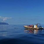 Passeios Turísticos: Trip to Corvo by Boat - Starting Point and Logistics