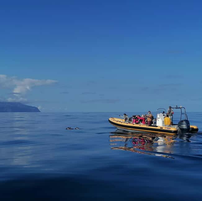 Passeios Turísticos: Trip to Corvo by Boat - Starting Point and Logistics