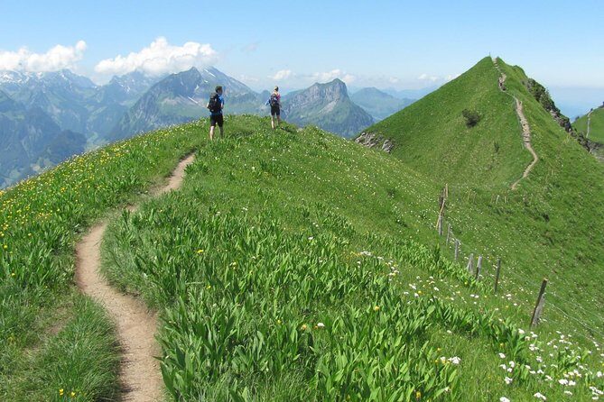 Peak to Peak Private Hiking Tour from Lucerne - A Closer Look at the Itinerary