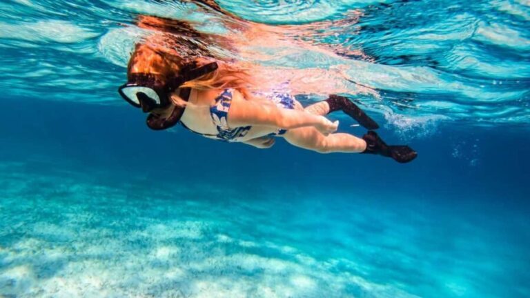 Pefkochori: Snorkeling Trip in Halkidiki-Kassndra - What to Expect at Each Stage