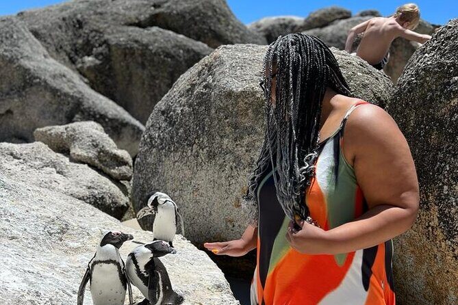 Penguin Watching & Beach Day at Boulder's Beach, Cape Town - The Sum Up: Is It Worth It?