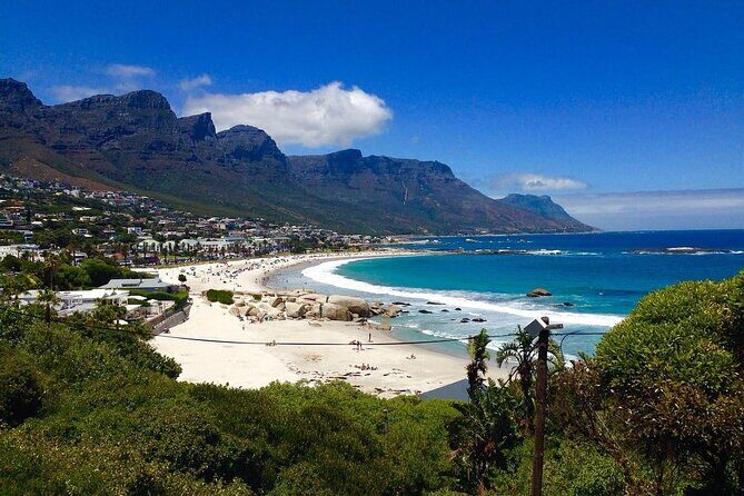 Penguins Cape of Good Hope, Cape Point Private Tour - Who is this tour best suited for?