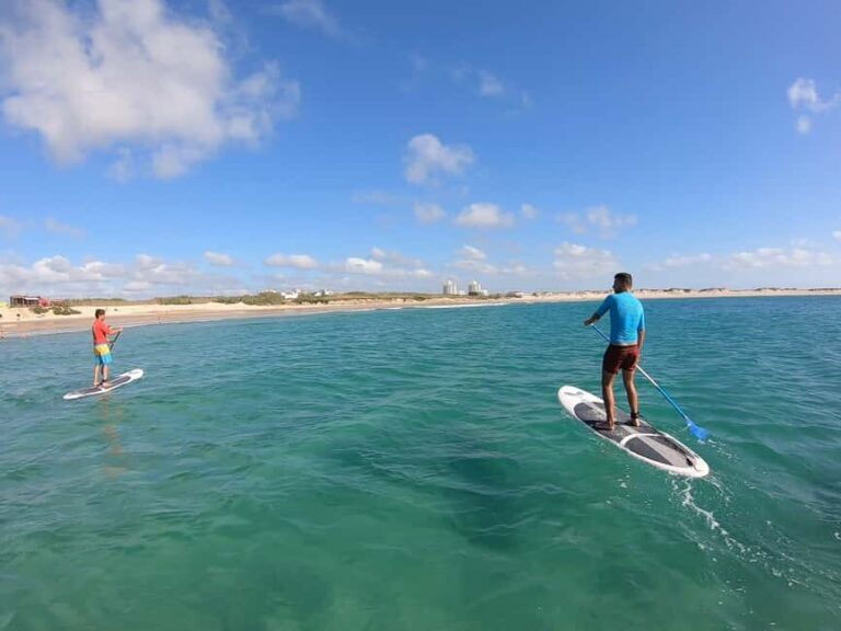 Peniche: SUP Wave Lesson - The Equipment and Support