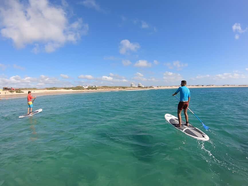 Peniche: SUP Wave Lesson - The Equipment and Support
