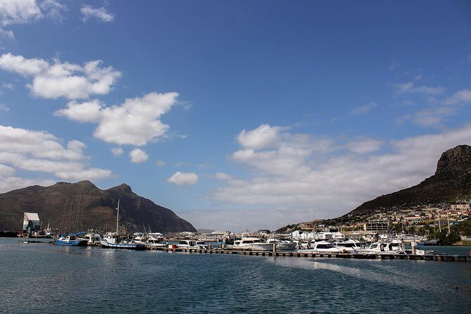 Peninsula Tour Cape Town - Final thoughts