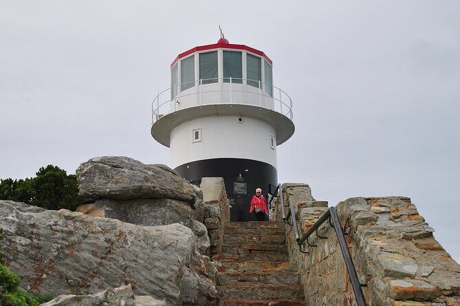 Peninsula Tour - Authentic Experiences and Insights from Reviews
