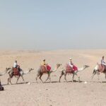 Personalized Private Day Trip of Giza Pyramids - The Practicalities