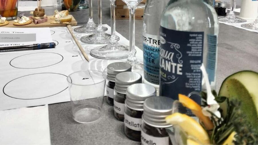Peschiera del Garda: Italian Gin tasting - A Closer Look at the Gin Tasting Experience