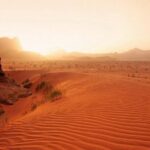 Petra and Wadi Rum Day Trip from Amman - Who Will Love This Tour?