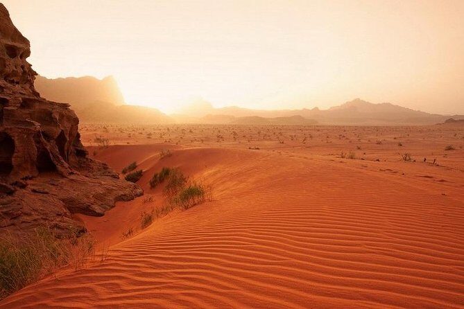 Petra and Wadi Rum Day Trip from Amman - Who Will Love This Tour?