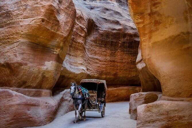 Petra Private Full-Day Tour - Limitations and Considerations