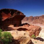 Petra Sightseeing 1 Day Tour From Sharm El Sheikh - Food, Comfort, and Additional Details