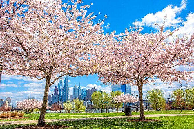 Philadelphia Cherry Blossom 1-Day Tour from New York - Authentic Experience and Review Highlights