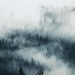 Photo tour through the Black Forest  the highlights - Why This Tour Is Worth Considering
