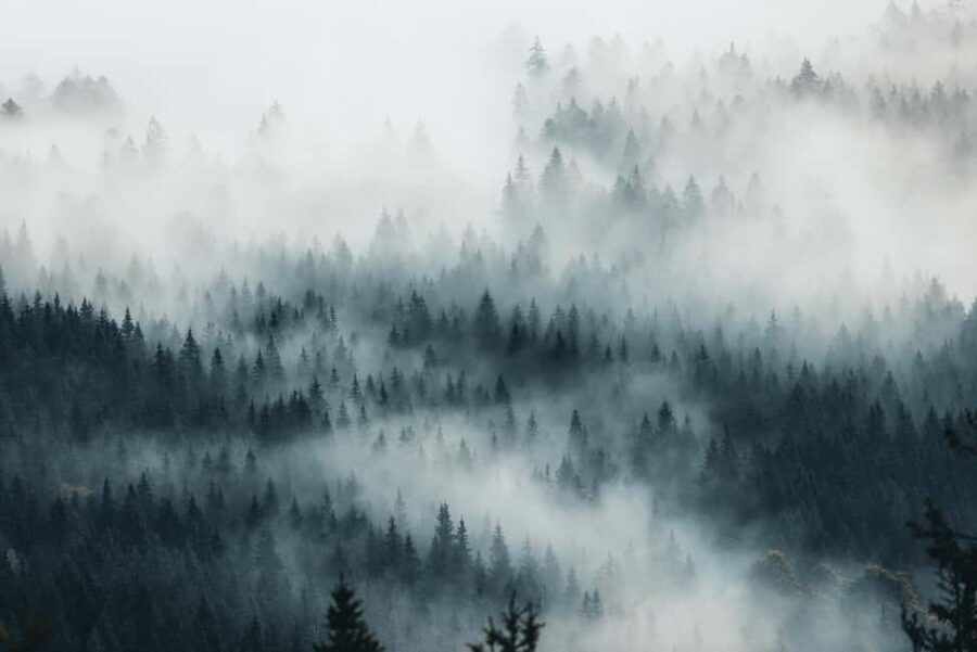 Photo tour through the Black Forest  the highlights - Why This Tour Is Worth Considering
