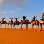 Pick an outdoor Activity: Balloons, QUAD, Camel Ride, Sahara Trip - Final Thoughts