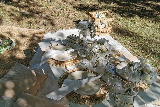 Picnics experience in Hungary - Authentic Experiences and Insights from Reviews