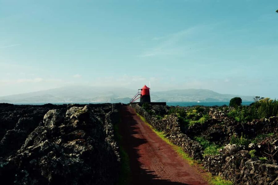 Pico island: discover the volcanic jewel of the Atlantic - Exploring the Lava Tunnels and the Underground World