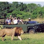 Pilanesberg full day safari private - Who Will Love This Tour?