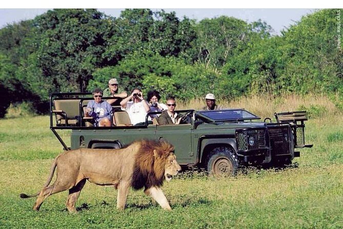 Pilanesberg full day safari private - Who Will Love This Tour?